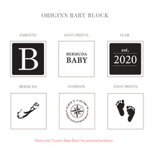 Load image into Gallery viewer, SALE! 2020 Origins Baby Block

